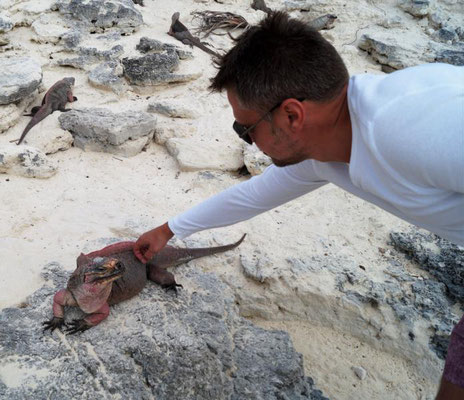 Iguana Island, Bahamas