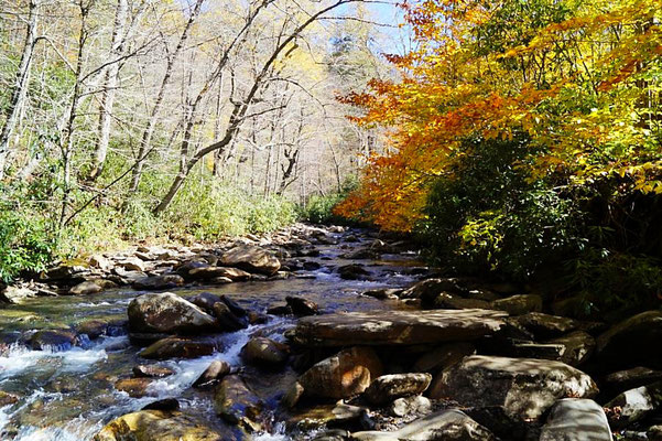 Great Smoky Mountains