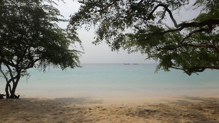 Sharkbay, Ko Tao