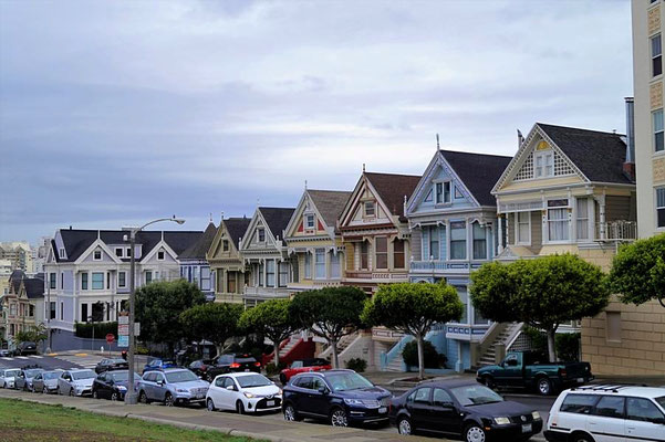 Painted Ladies