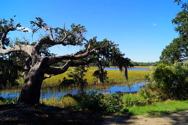 Boone Hall