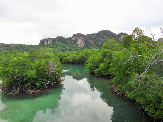 Ko Phi Phi