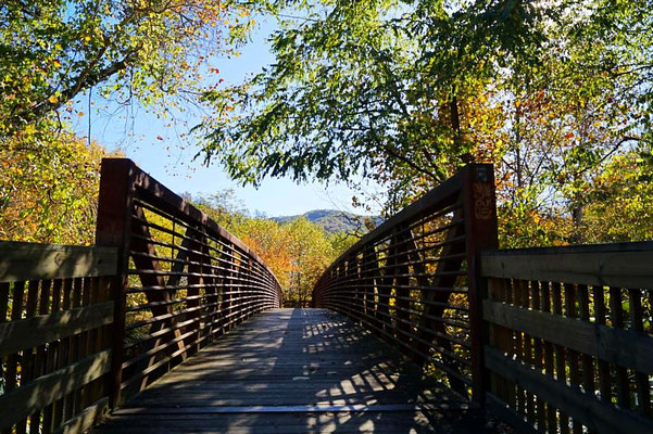 Great Smoky Mountains