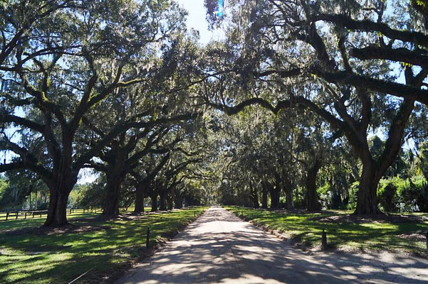 Boone Hall