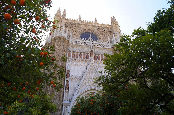 Kathedrale von Sevilla