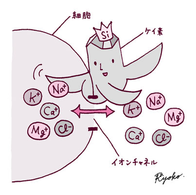 ケイ素に関する実用書の挿絵4