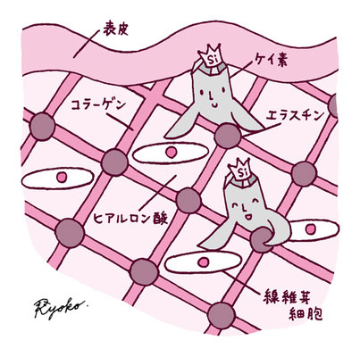 ケイ素に関する実用書の挿絵3