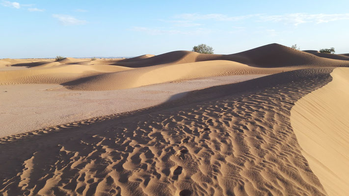 6-tägige wüstenwanderung in der sahara