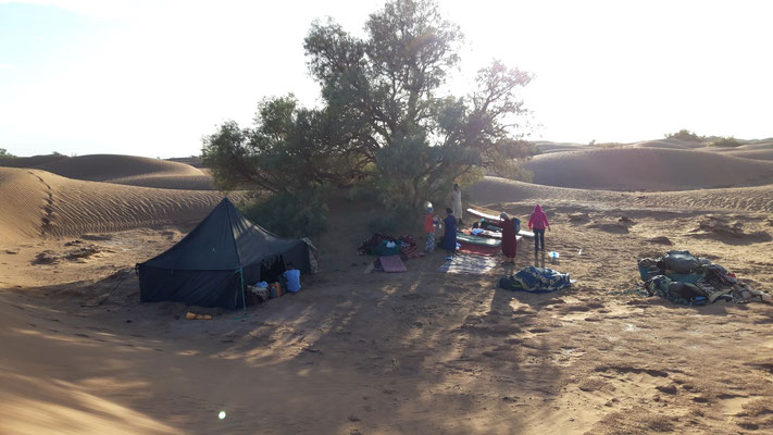 6-tägige wüstenwanderung in der sahara, lagerplatz