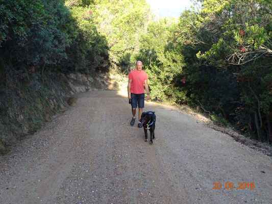morgendliche Wanderung