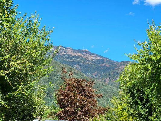 Blick aus dem WoMo