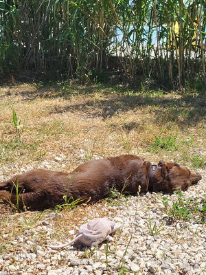 Es war sehr anstrengend, nun wird gechillt 