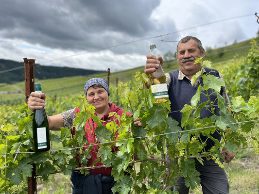 Dank Jolan und Imre sind unsere Reben immer in Topform!