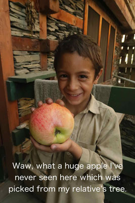 赤ん坊の頭ほどの大きいリンゴ
