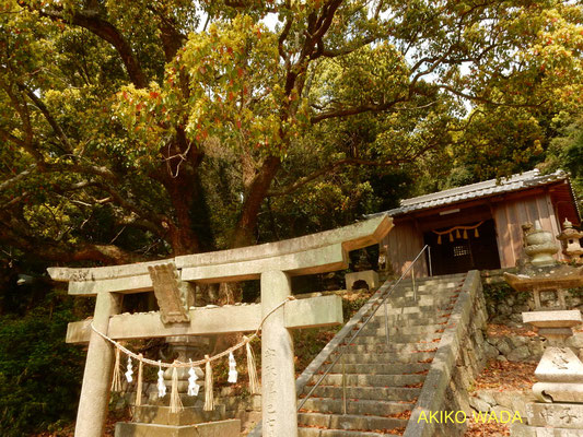 豊玉神社