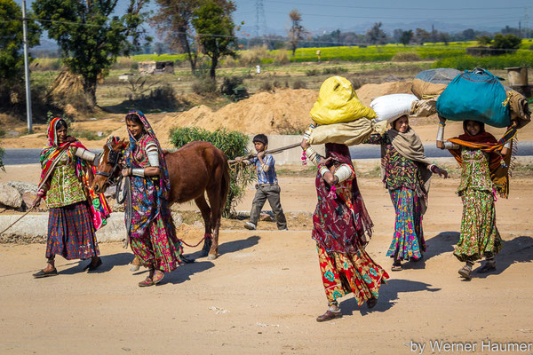 On the Road in India