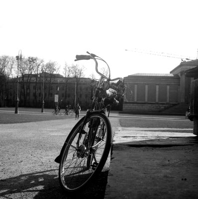 Am Königsplatz in München