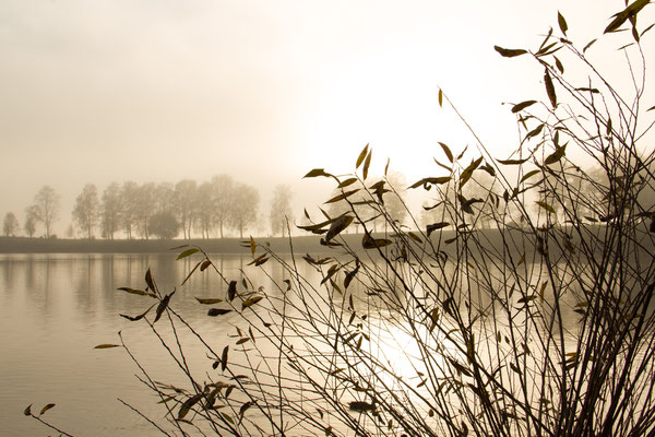 Februar 2016 - Herbststimmung am Staffelsee