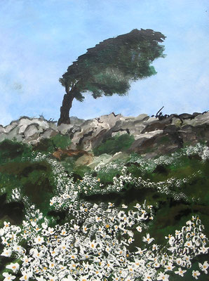 Margaritenfeld, Acryl auf Papier, 48x36cm