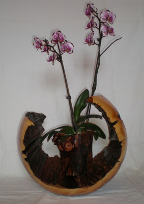 Apfelbaumholz Kugel und Blumentopf