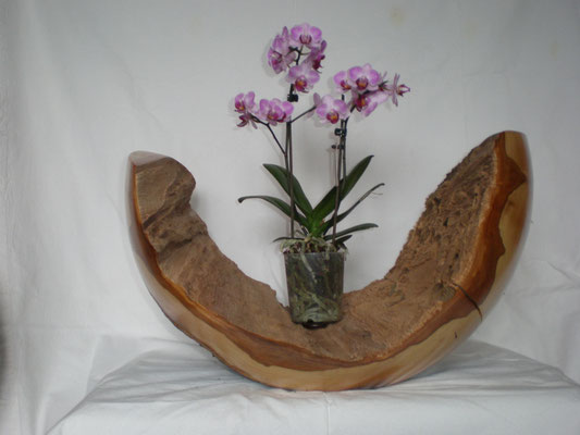 Apfelbaumholz Kugel und Blumentopf