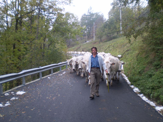 Demonticazione, Crissolo Valle Po