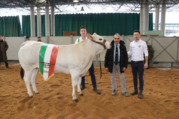 Bentley (Umile x Mario), cat Manze 18-24 mesi, Campionessa Junior 2019