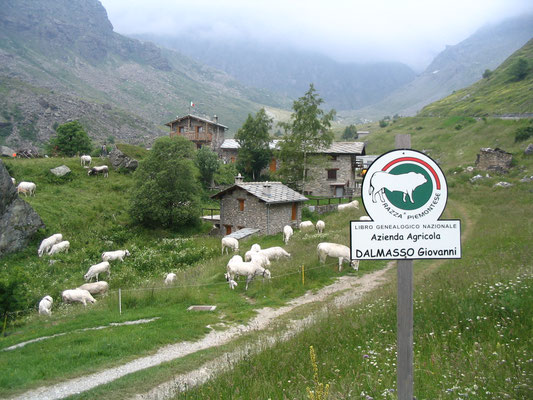 La Borgata di Cros Forant