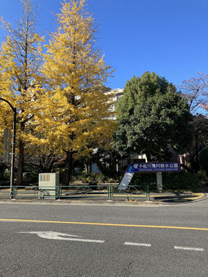 親水公園
