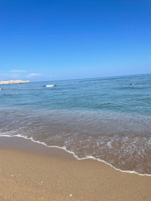 Das Foto zeigt den goldenen Sandstrand des Tsambika Beaches sowie das Meer mit Wellen.