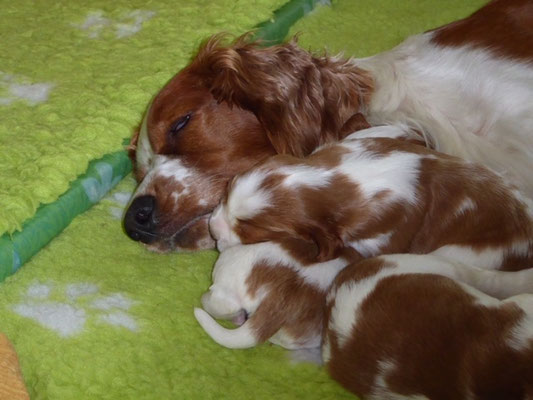 Cali ist so liebevoll und geduldig !!!