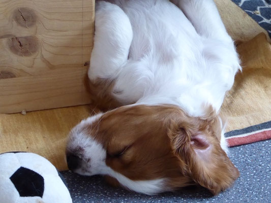 tiefenentspannt