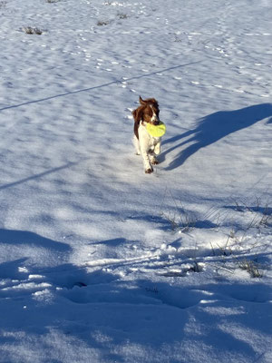 Frisbee ist super!