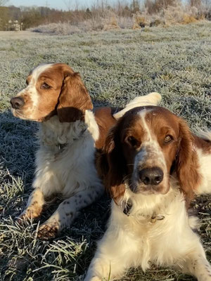 Beele und Cali
