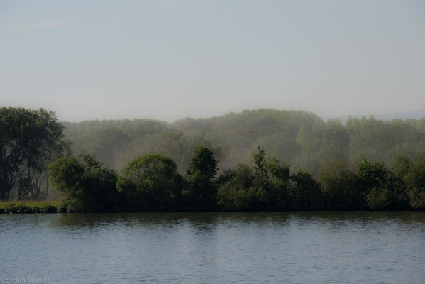 Morgenstimmung am Fluss.