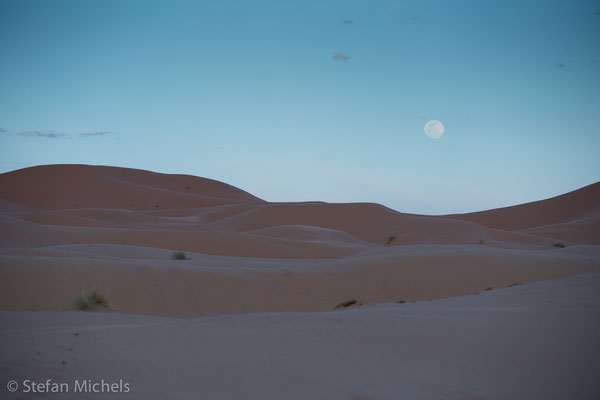 Sahara - Forscher schließen aus der Lage unterschiedlicher Gesteinsschichten, dass sich in dieser Wüste im Laufe von mehreren Jahrmillionen mehrfach trockene und feuchte Phasen abwechselten.