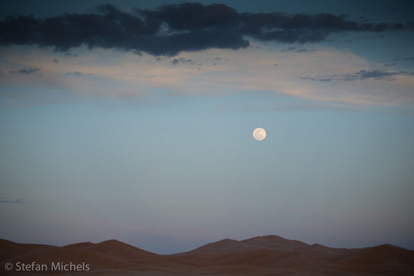 Sahara - Morgenstimmung in der Dünendschaft