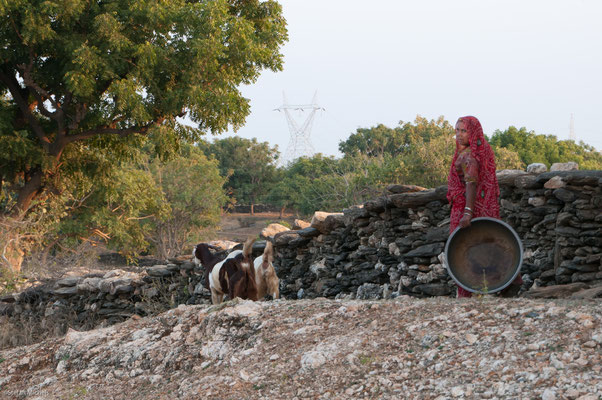 Auf dem Weg nach Udaipur