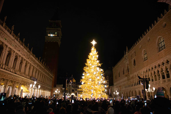 Der Weihnachtsbaum auf der Piazetta.