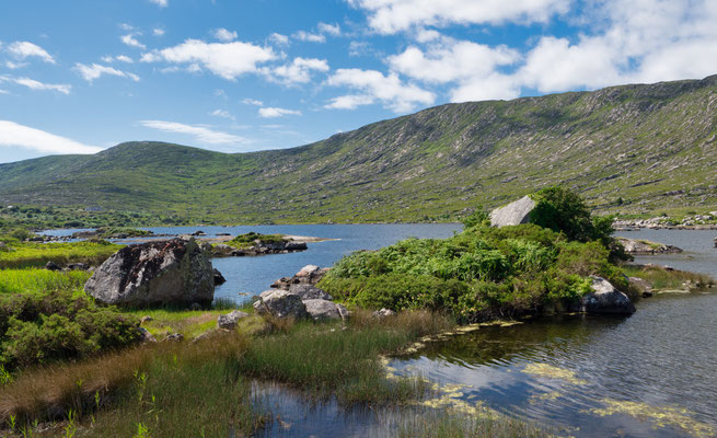 Der Wild Atlantic Way ist eine Küstenstraße, die sich auf einer Länge von über 2500 km entlang der Westküste Irlands erstreckt.