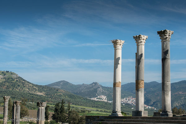 Volubilis -Die Provinz Mauretania Tingitana erzeugte Getreide und Olivenöl im Überfluss.