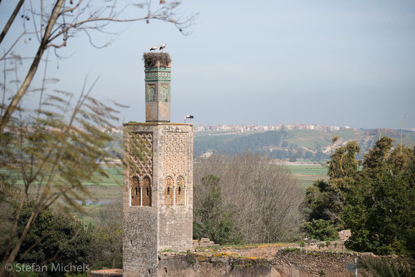 Rabat- Die Chellah - die merinische Totenstadt.