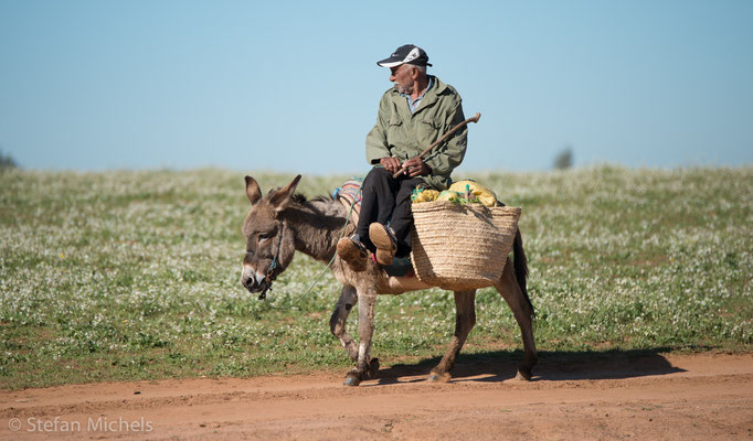 Auf dem Weg nach Meknes.