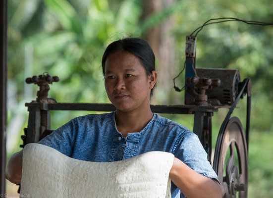 Die fünf wichtigsten Produzentenstaaten von Naturkautschuk sind heute Thailand, Indonesien, Malaysia, Indien und die Volksrepublik China.