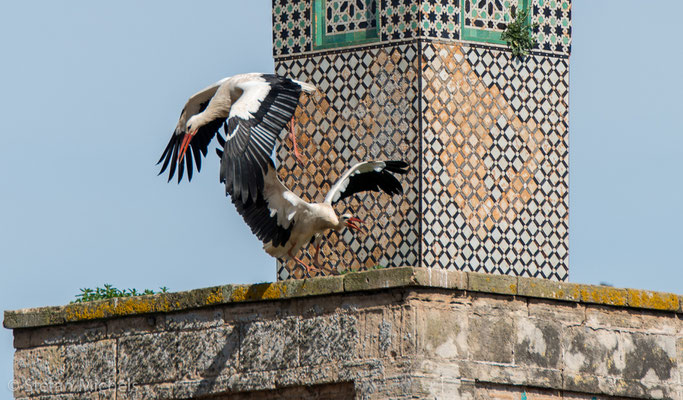 Rabat- Die Chellah - beinhaltete auch eine Madrasa ( Ort des Studiums).