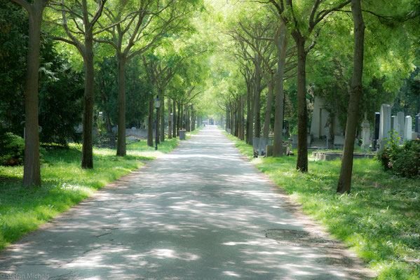 Der Wiener Zentralfriedhof wurde 1874 eröffnet und zählt mit einer Fläche von fast 2,5 km² und rund 330.000 Grabstellen zu den größten Friedhofsanlagen Europas.