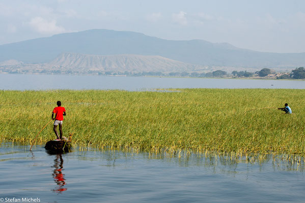 Der Awasasee (amharisch አዋሳ ሐይቅ, Awasa Hayk' ) ist ein See in Äthiopien, gelegen im Rift Valley ca. 200 km südlich von Addis Abeba.