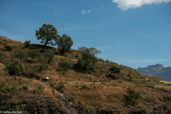 Lalibela -Äthiopien bietet aber auch das Afrika, das wir alle im Kopf haben.