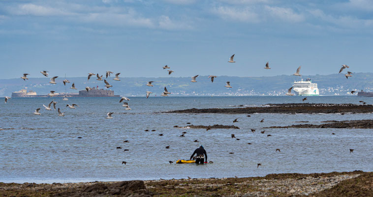 An der Küste vor Cherbourg