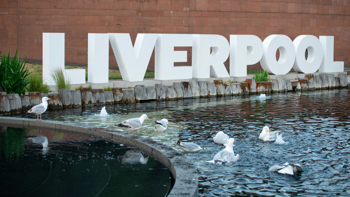 Liverpool - 500.000 Einwohner